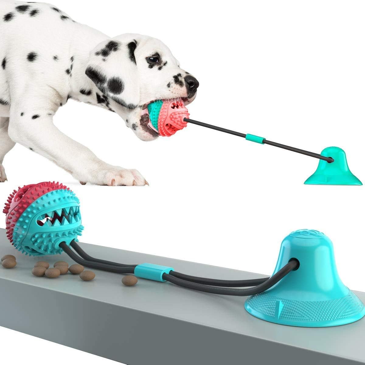 dog iq toy