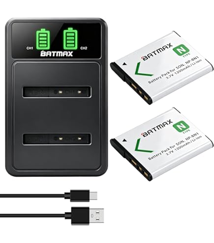 Amazon.com : Rechargeable Li-ion Battery (2-Pack) for Sony