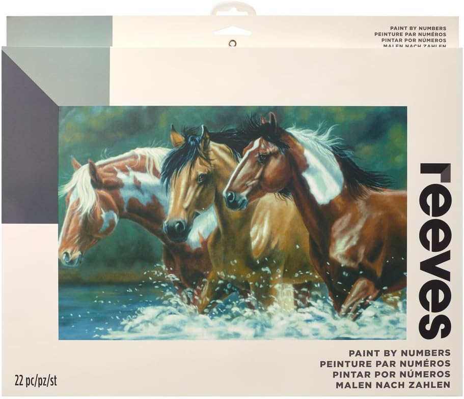 Reeves Heading Upstream Paint by Numbers Set, Large