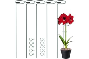 HiGift 17 inch Plant Support Stakes, 4mm Thick Garden Single Stem Flower Support Stake Amaryllis Plant Cage Support Rings with 10 pcs Plant Clips for Tomato Orchid Lily Peony Rose Flower Stem-5 Pack