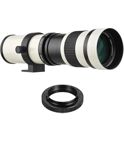 Amazon.com : Tamron - AF 200-500mm F/5-6.3 Di LD (IF) Lens for