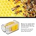 Queen Bee Marking Bottle,Delaman Queen Bee Catcher/Cage, Marking Catcher Plastic One Handed Marker Bottle Plunger Plush Beekeeper Tool for Beekeepers Mark Tool