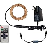 Gallity 5 Meters 50 Led Fairy Lights,Battery Operated with Remote Control Timer Waterproof Copper Wire Twinkle String Lights for Birthdays, Weddings, Dinner Party, Girl’s Night in (Blue)