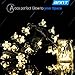 Warm White Solar Flower Shape String Lights-ANNT 23ft 7m 50 LED Crystal Lighting Waterproof Lamp Fairy Blossom Flower Garden Holiday Decorative Light Outdoor Indoor Patio Wedding Xmas Tree Party