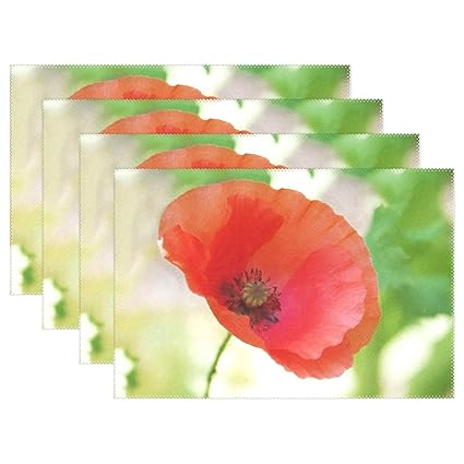 Amazoncom Drawing Colored Pencil Drawing Paint Color