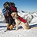 RUFFWEAR - Web Master Pro Dog Harness, Search and Rescue, Service Dogs, Snowboarding, Skiing, Everyday Wear, Red Currant, Large/X-Large