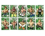 WWE Wrestling Set of 10 Wrestler Holiday Christmas Tree Ornaments Featuring RANDOM 2