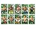 WWE Wrestling Set of 10 Wrestler Holiday Christmas Tree Ornaments Featuring RANDOM 2