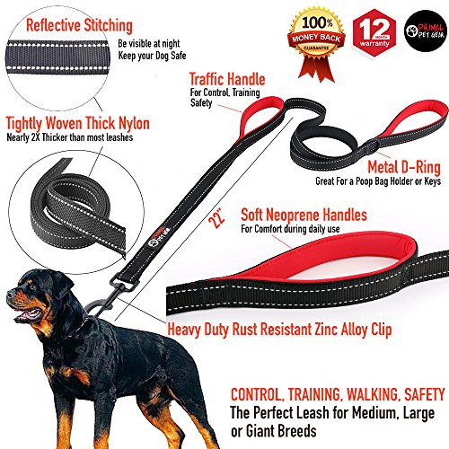 Primal Pet Gear Dog Leash 6ft Long,Traffic Padded Two Handle,Heavy Duty
