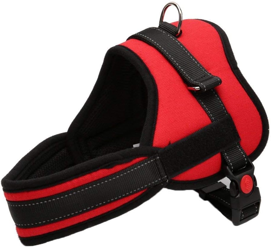 AbuChan Arnés para Perro con diseño de Velcro, Correa ...