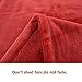 Shilucheng Luxury Fleece Blanket Super Soft and Warm Fuzzy Plush Lightweight King Couch Bed Blankets - Burgundy