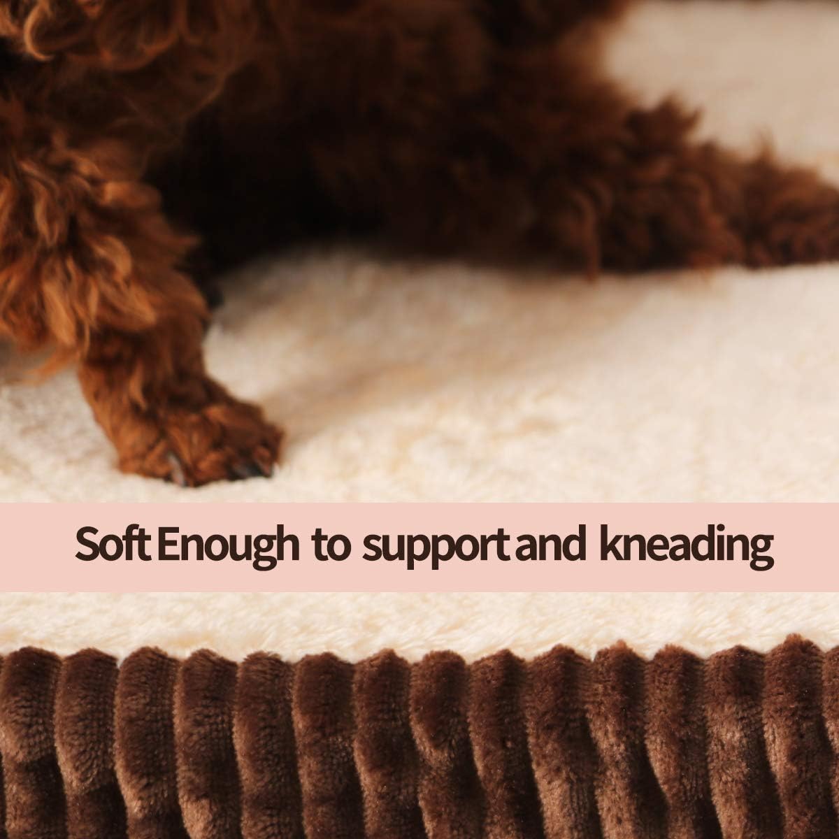 XSlive Small Memory Foam Dog Bed - Luxury Rectangle Pet Bed for Anti Anxiety Calmingwith Removable Washable Cover & Waterproof Liner - Durable Pad Mat for Pets up to 20 lbs(21 x 17 Inch, Coffee) : Kitchen & Dining