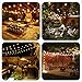 Amico 48FT LED Outdoor String Lights Weatherproof Vintage Dimmable Edison Plastic Bulbs with 15 Sockets