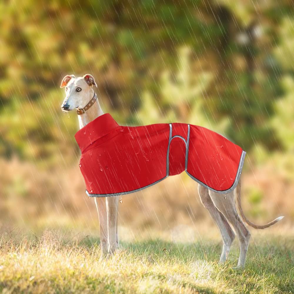 Lightweight Whippet Raincoat, Waterproof Greyhound Coats - Summer/Winter Dog Coats for Medium, Large Dogs (L, Red)