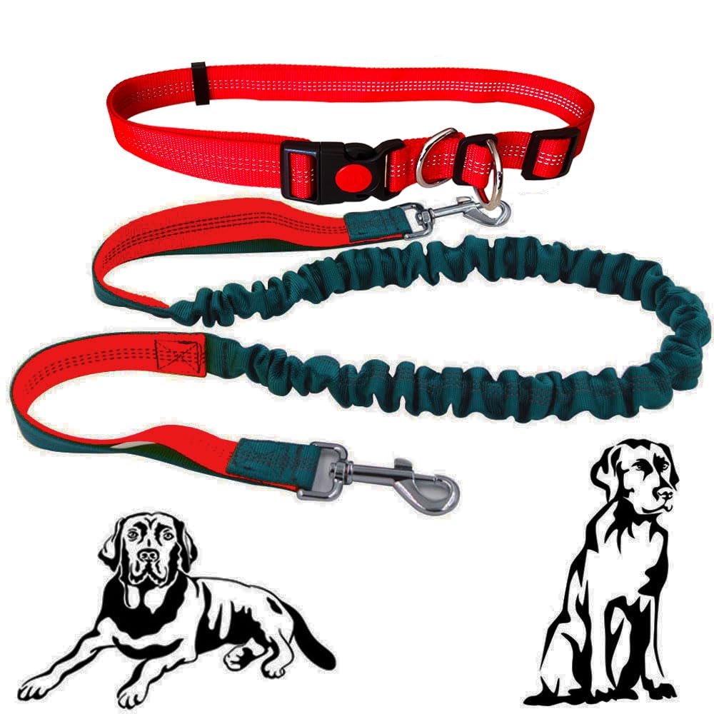 Senvenelec 1pc Retractable Dog Lead, 16ft (5m) - 33ft (10m), Red, Silicone, Buckle