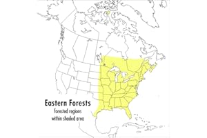 A Peterson Field Guide To Eastern Forests: North America