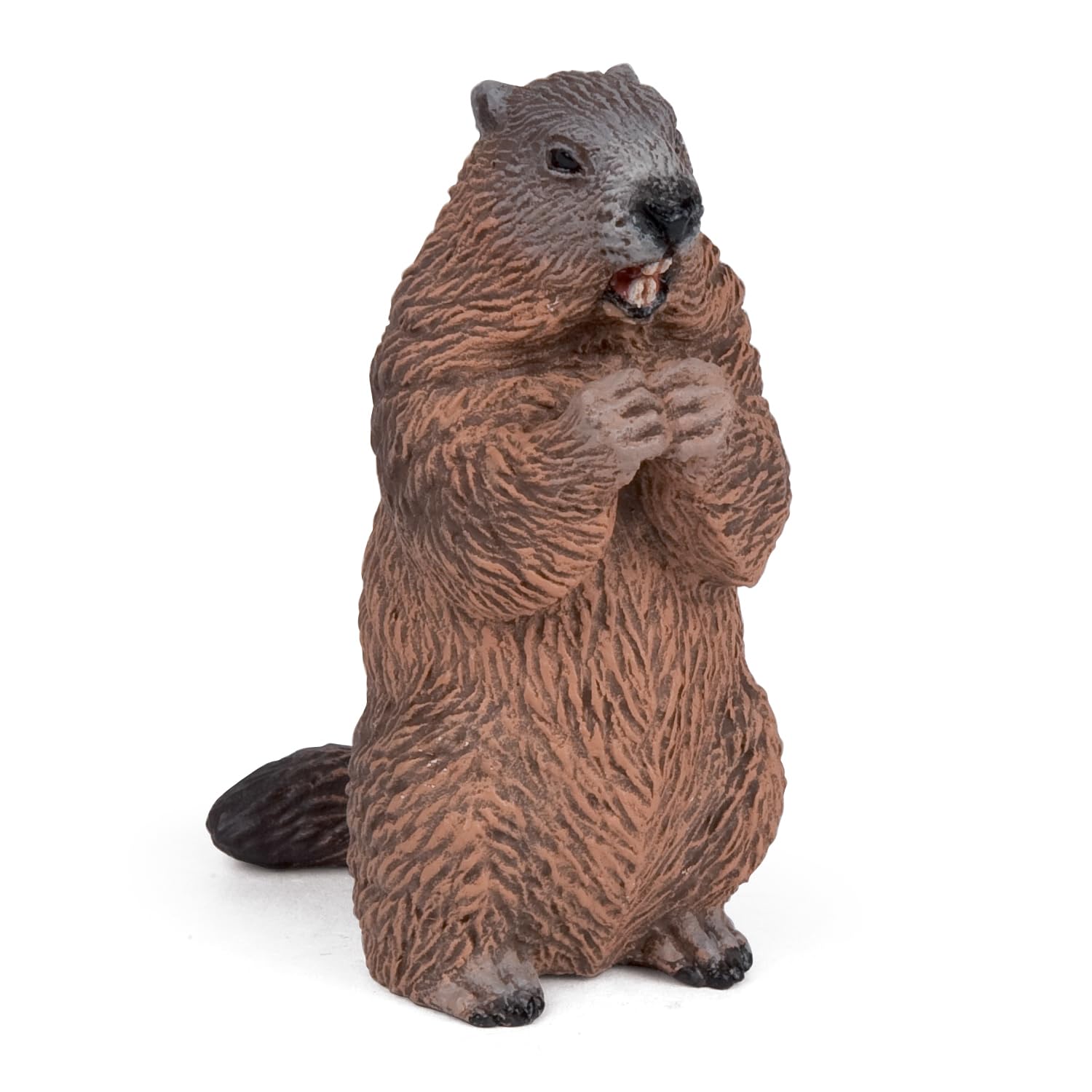 Papo - Animal figurine - Marmot, Curiosity of the Mountain Fauna, Children's toy from 3 years - Raising awareness of Animal Life and Natural Cycles