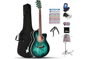 Winzz 40 Inches Acoustic Steel-string Guitar Beginner, Elegant Unique Color Design (Blue-green)