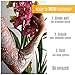 Body Art Temporary Tattoo Kit: White Lace & Silver Glitter Tattoo Set for Adults, Women, Girls & Teens - Custom DIY Body Paint Tattoo Kits for Professionals & Beginners - Make Your Own Fake Tattoos