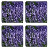 Luxlady Natural Rubber Square Coasters IMAGE ID 31497999 lavender flower field in oregon