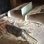 Piege a souris Piege a souris