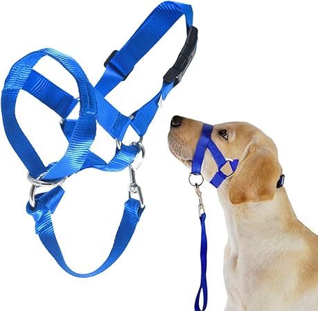 no pull training collar