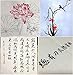 Easyou Sumi Paper Ripe Xuan Paper Sumi Paper for Chinese Japaness Painting in Meticulous Style Claborate-Style Painting 46cmx70cm(18.1