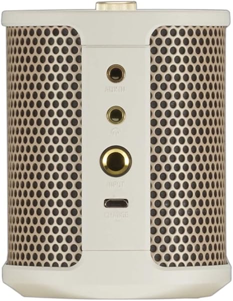 bluetooth speaker with guitar input