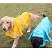 okdeals Large Dog Raincoat Leisure Pet Waterproof Clothes Lightweight Rain Jacket Poncho with Strip Reflective (XXL)