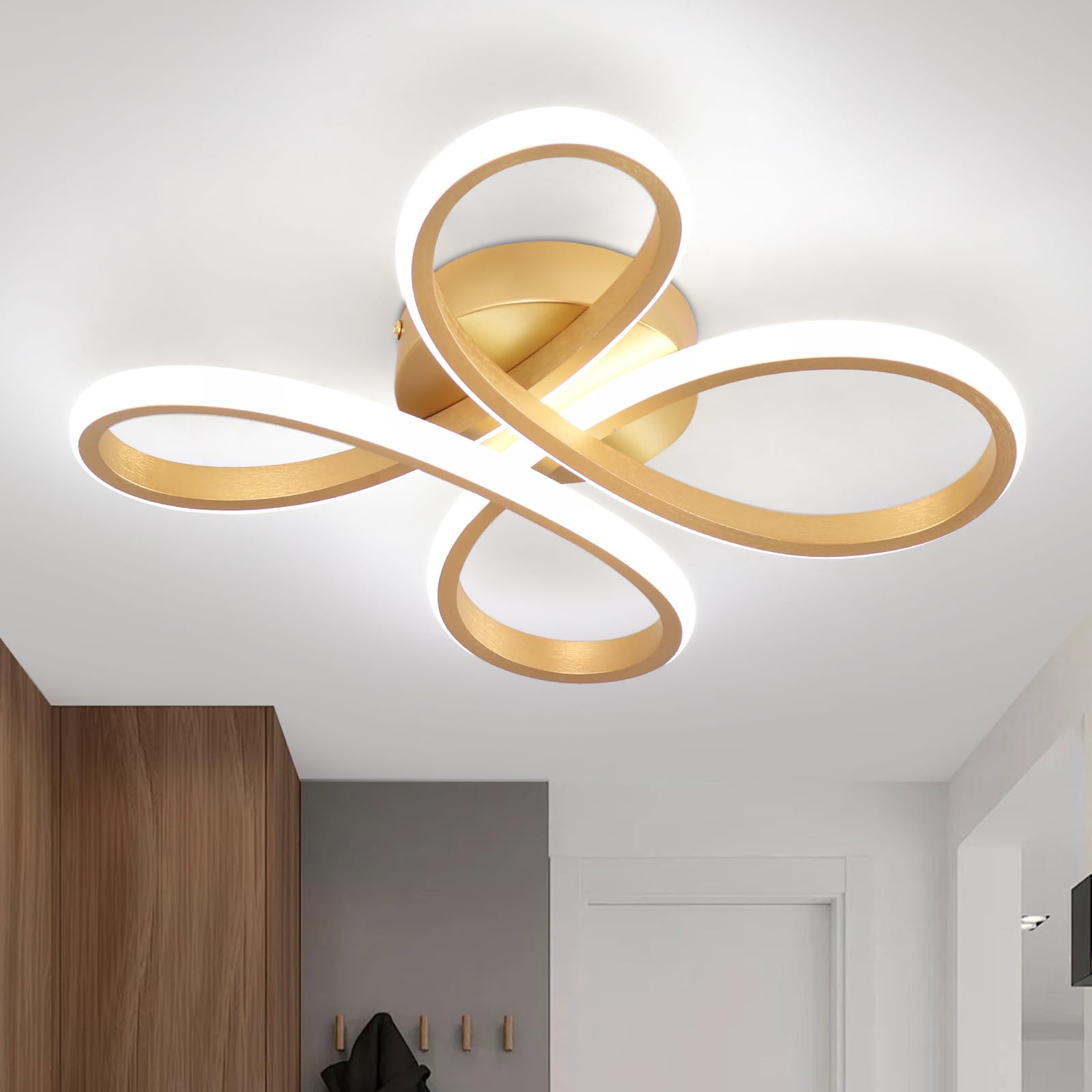 EIDISUNY Modern LED Ceiling Light, 30W Gold LED Ceiling Light Fixture, Modern Lights for Living Room Bedroom Corridor Aisle Hallway Indoor Lamp - Cool White Light 6000K — image 1