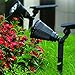 B. Solar Light Colored Landscape Lights LED, Spotlight for Outdoor Garden Trees Yard Christmas Wall Decor (Color Changing)