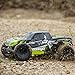 ECX AMP MT 1:10 2WD Monster Truck: Black/Green RTR