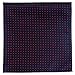 Retreez 5 Piece Assorted Woven Microfiber Premium Pocket Square Gift Box Set - Set 002