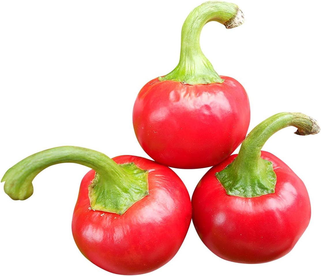 10 Cherry Bomb for Antipaste -> Hot Pepper Seeds, by Samenchilishop -Seeds Store-