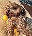 Squeaky Sensory Snake Dog Toy Small Natural Rubber (Latex) Chemical-Free Complies with Same Safetystandards as Children’s Toys Soft Unstuffed