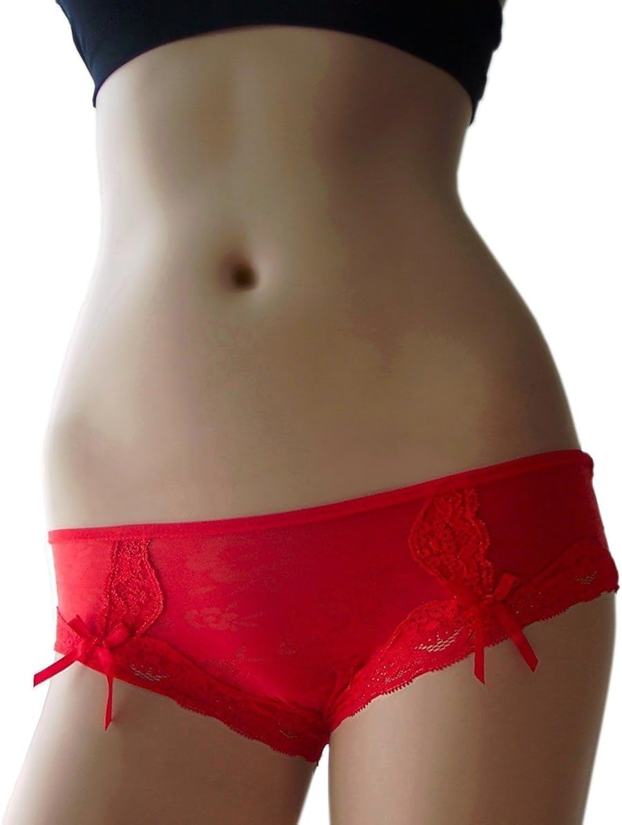 Sheer Floral LaceTrimmed Hiphugger Panty at Amazon Women’s Clothing store Hipster Panties