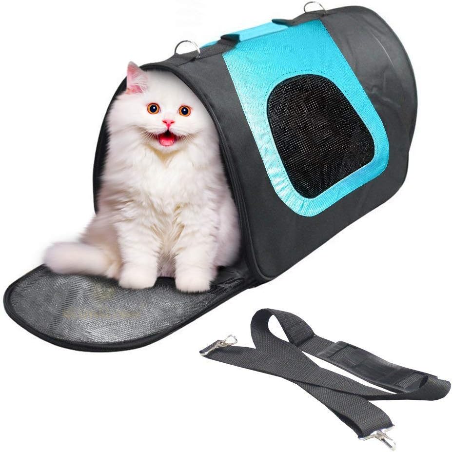 cat bag vet