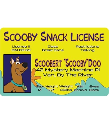 Funny Drivers License Signatures