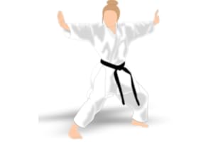 Karate All Shotokan Katas