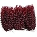 3pcs/Pack 10'' Afro Kinky Twist Hair Crochet Braids Ombre Pink Braiding Hair Synthetic Marlybob Curly Crochet Hair Pieces (T1B/PINK)