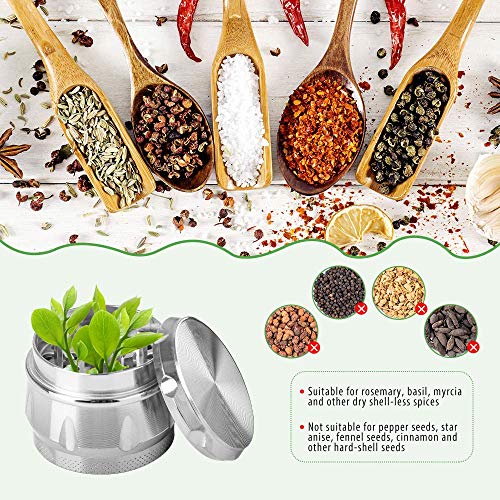 iRainy G2 Pocket Size Spice Herb Grinder - Small Tiny 1.6 Inch 4 Pieces with Pollen Catcher (Silver)