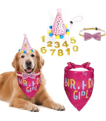 thumbnail image 2 of STMK Dog Birthday Party Set - Pink Bandana, Hat, Bowtie & Banner For Girl Dogs 2 of 10