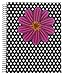 Emraw Fashion 5 Subject Notebook Spiral with 180 Sheets of College Ruled White Paper with Poly Dividers/Inside Pocket - Styles Included: Chandelier, Polka Dot Flower and Polka Dot Flower Mix, 3 Pack