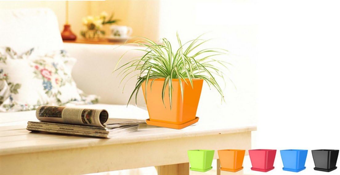 StarBox 5 Pcs Small Colorful Plastic Planters Succulents Plant Watering Pot Indoor and Outdoor Flower Pot (Square 5 Pcs)