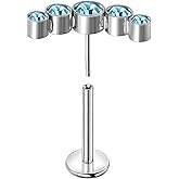 Lantine Threadless Flat Back Stud Earrings Implant Grade F136 titanium Climber Cartilage Earring Lip Labret Medusa Tragus Inner Conch Helix Piercing Jewelry