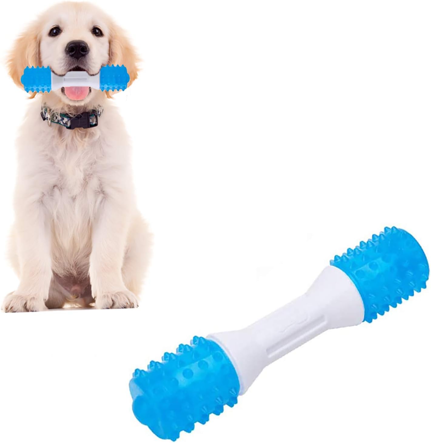 puppy teething breath