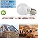 ChiChinLighting 12 Volt 7 Watt LED Light Bulb (6 Bulbs per Pack) - E26/E27 Light Bulb 12v Low Voltage - Daylight White (Cool White) 6000k 7w Light Bulb - Off Grid Solar System, RV, Marine LED Lights