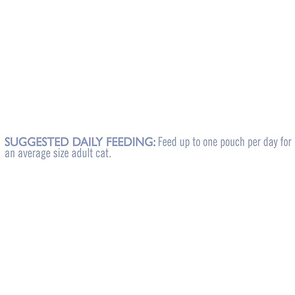 PURINA FANCY FEAST BROTHS WITH WILD SALMON & WHITEFISH, 1.4 OZ, GRAIN FREE WET CAT FOOD TOPPERS