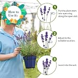 Garden Mile Heavy Duty Circular Plant Support Rings 10pc Spiral Stakes view 5