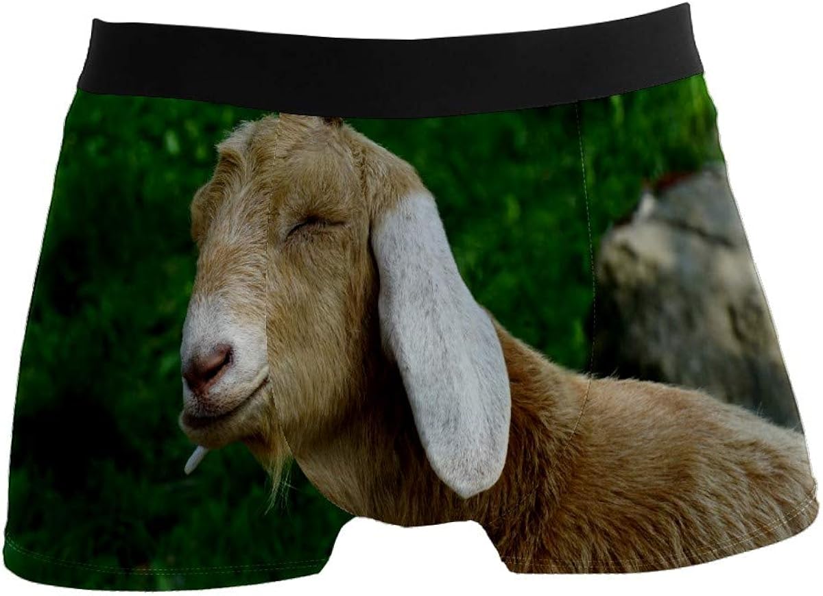 FCZ Mens Goat Animal Tired Sleepy Cute Box Briefs Underwear Shorts Amazon.ca Clothing